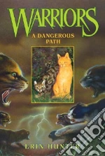 A Dangerous Path