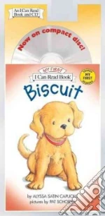 Biscuit