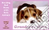 Grandma's Dead libro str