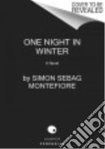 One Night in Winter