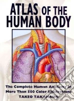 Human Body