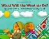 What Will the Weather Be? libro str