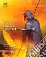 Treatise on Process Metallurgy libro str