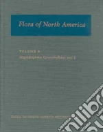Magnoliophyta