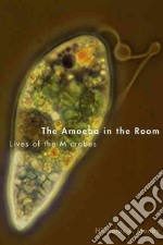 The Amoeba in the Room
