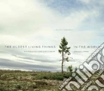 The Oldest Living Things in the World