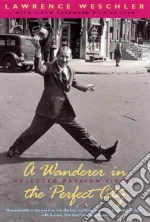 A Wanderer in the Perfect City