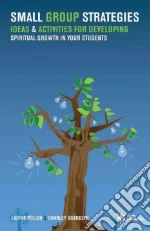 Small Group Strategies