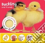 Duckling and Friends