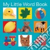 My Little Word Book libro str