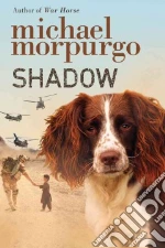 Shadow