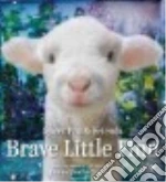Brave Little Finn