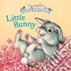 Little Bunny libro str
