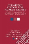 Strategic Visions for Human Rights libro str