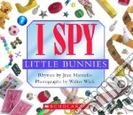 I Spy Little Bunnies