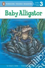 Baby Alligator