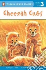 Cheetah Cubs