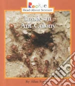 Inside an Ant Colony