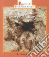 Inside an Ant Colony libro str