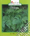 Ferns libro str