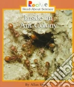 Inside an Ant Colony