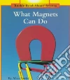What Magnets Can Do libro str