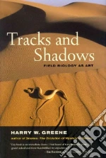 Tracks and Shadows