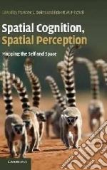 Spatial Cognition, Spatial Perception