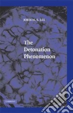 The Detonation Phenomenon