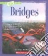 Bridges libro str