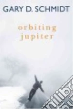 Orbiting Jupiter