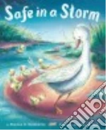 Safe in a Storm