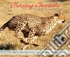 Chasing Cheetahs libro str