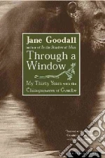 Through a Window