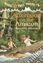 Afternoon on the Amazon