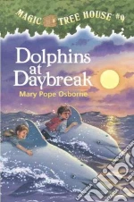 Dolphins at Daybreak