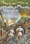 Vacation Under the Volcano libro str