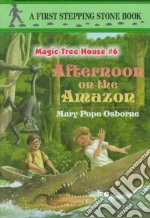 Afternoon on the Amazon