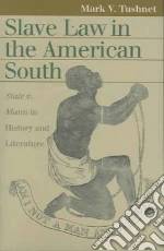 Slave Law in the American South
