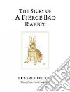 The Story of a Fierce Bad Rabbit libro str