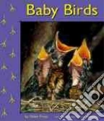 Baby Birds