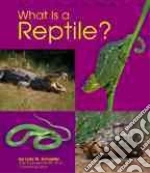 What Is a Reptile?