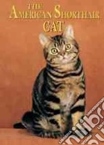 The American Shorthair Cat