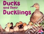Ducks and Their Ducklings