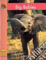 Big Babies