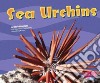 Sea Urchins libro str
