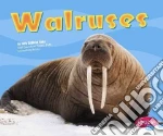 Walruses