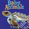 Baby Animals In the Sea libro str