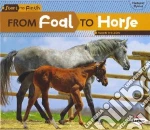 From Foal to Horse