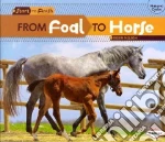 From Foal to Horse